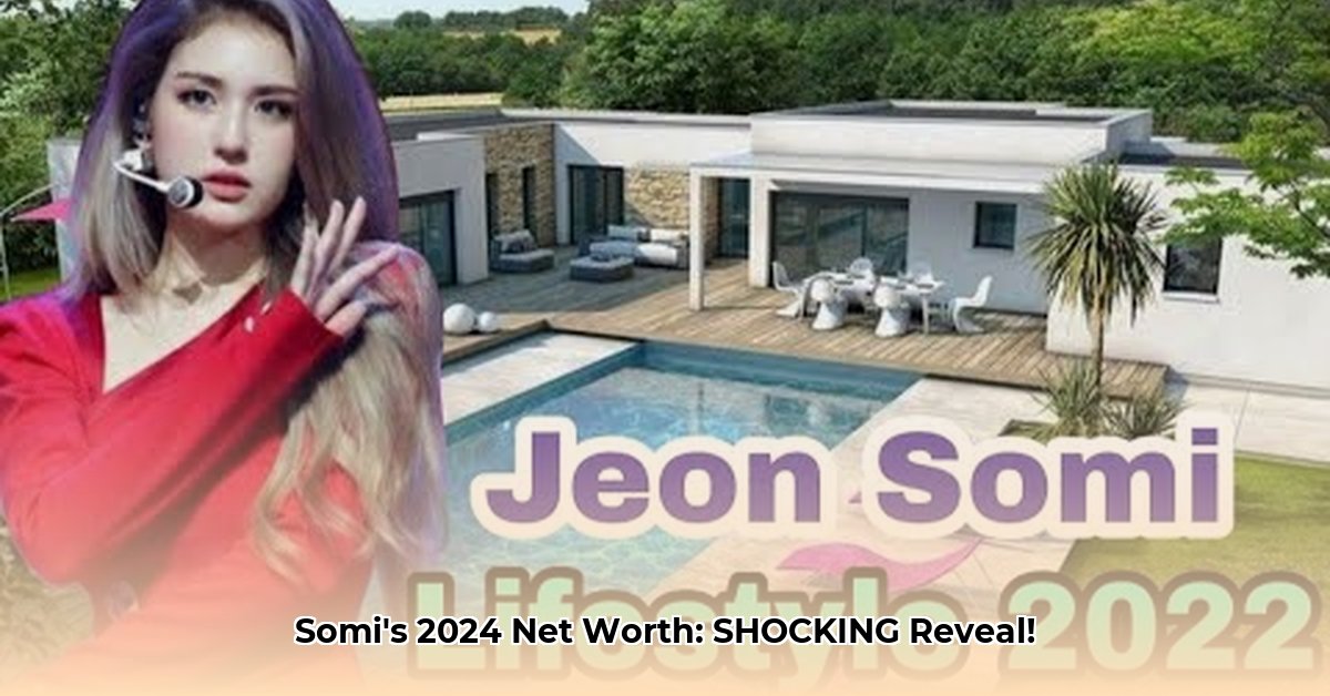 somi-net-worth